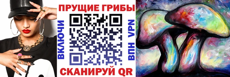 купить наркоту  Ленинск  Галлюциногенные грибы мицелий 